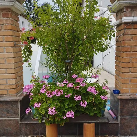 Lejlighed Haus Maria *