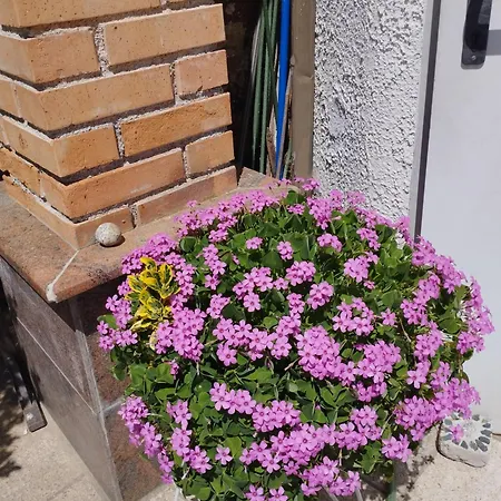 Haus Maria Lejlighed Neubach