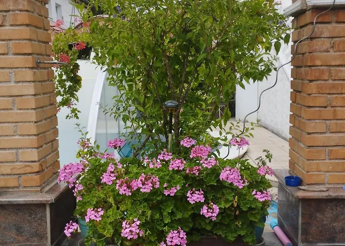 Apartment Haus Maria *