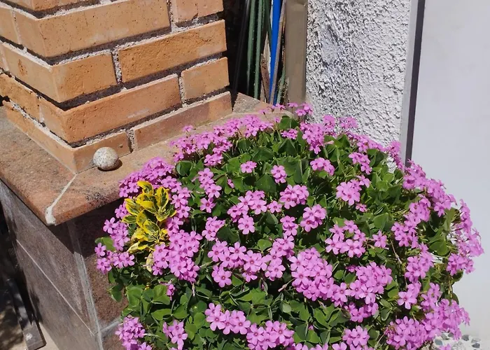 Haus Maria Апартаменты Neubach